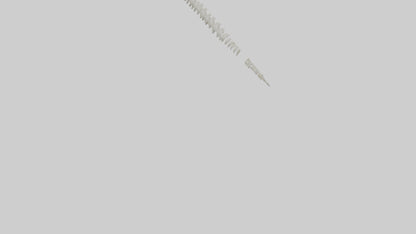 Polar Bear Spine VR / AR / low-poly