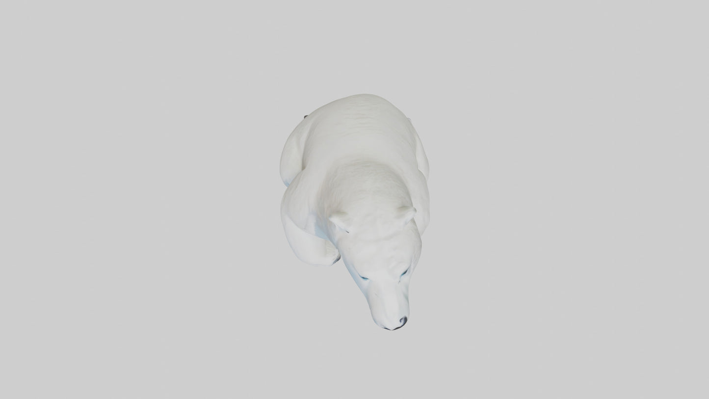 3D model Polar Bear statue model VR / AR / low-poly