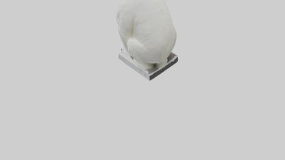 3D model Polar Bear statue model VR / AR / low-poly