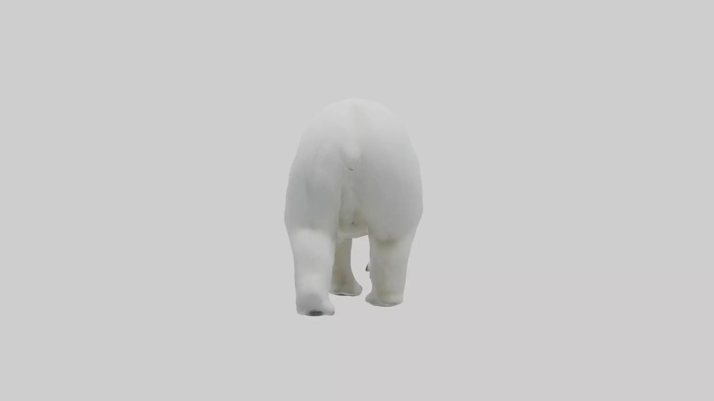 3D model Polar Bear walking model VR / AR / low-poly
