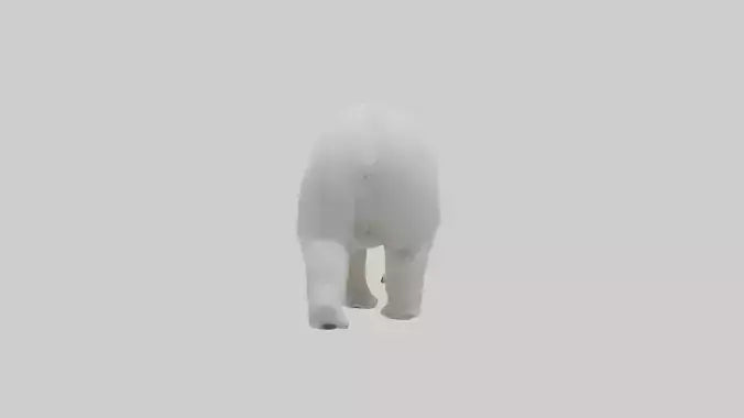 3D model Polar Bear walking model VR / AR / low-poly
