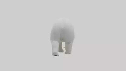 3D model Polar Bear walking model VR / AR / low-poly