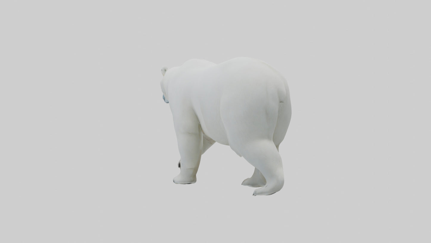 3D model Polar Bear walking model VR / AR / low-poly