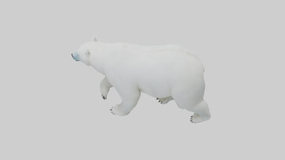 3D model Polar Bear walking model VR / AR / low-poly