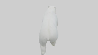 3D model Polar Bear walking model VR / AR / low-poly