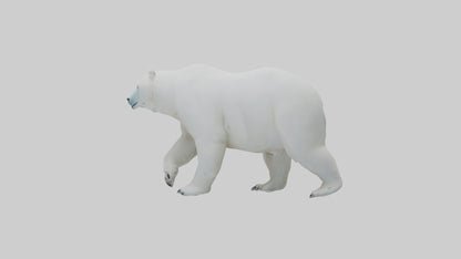 3D model Polar Bear walking model VR / AR / low-poly