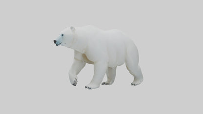 3D model Polar Bear walking model VR / AR / low-poly