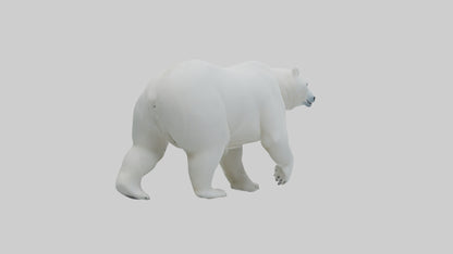 3D model Polar Bear walking model VR / AR / low-poly