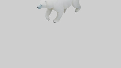 3D model Polar Bear walking model VR / AR / low-poly