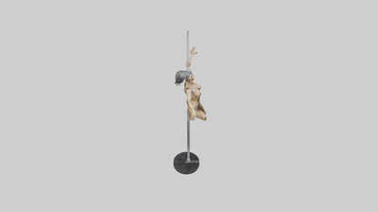 3D model Pole Dance Pose statue model VR / AR / low-poly