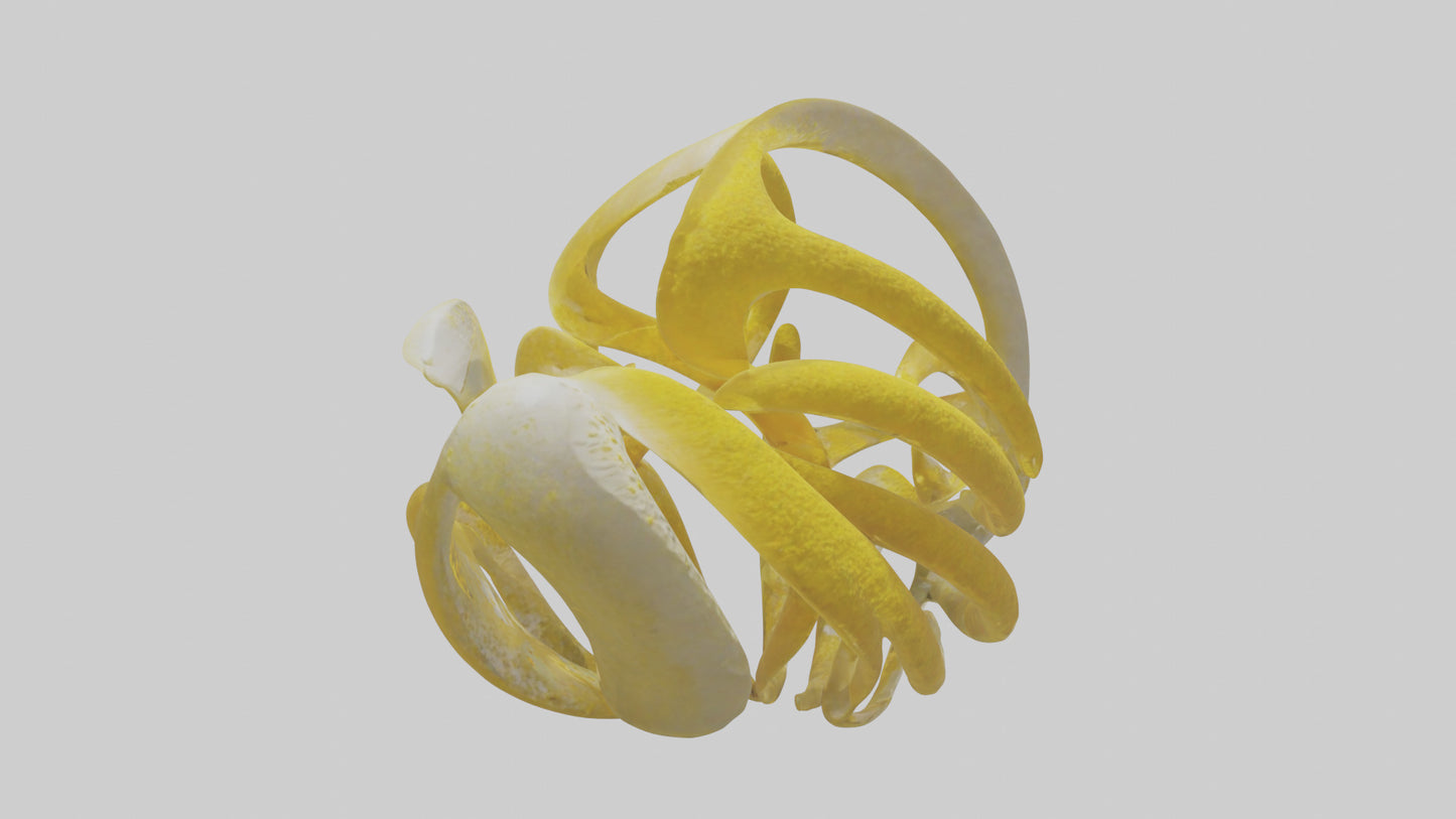 Pollen Flow Sculpture model VR / AR / low-poly