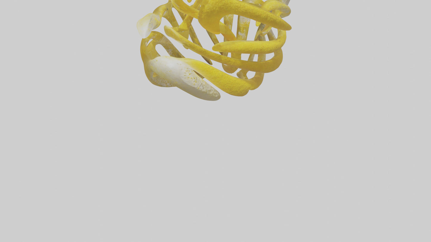 Pollen Flow Sculpture model VR / AR / low-poly