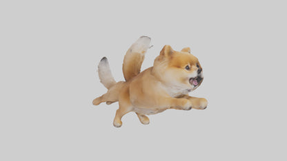 3D model Pomeranian jumping model VR / AR / low-poly
