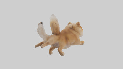 3D model Pomeranian jumping model VR / AR / low-poly