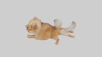 3D model Pomeranian jumping model VR / AR / low-poly