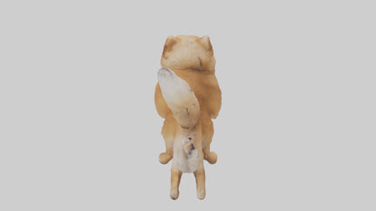 3D model Pomeranian jumping model VR / AR / low-poly