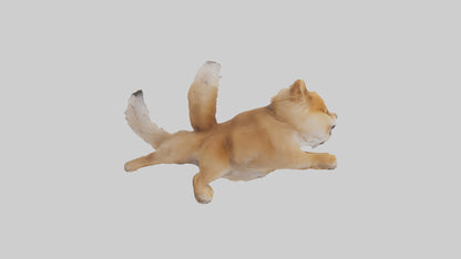 3D model Pomeranian jumping model VR / AR / low-poly