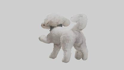3D model Poodle playing model VR / AR / low-poly
