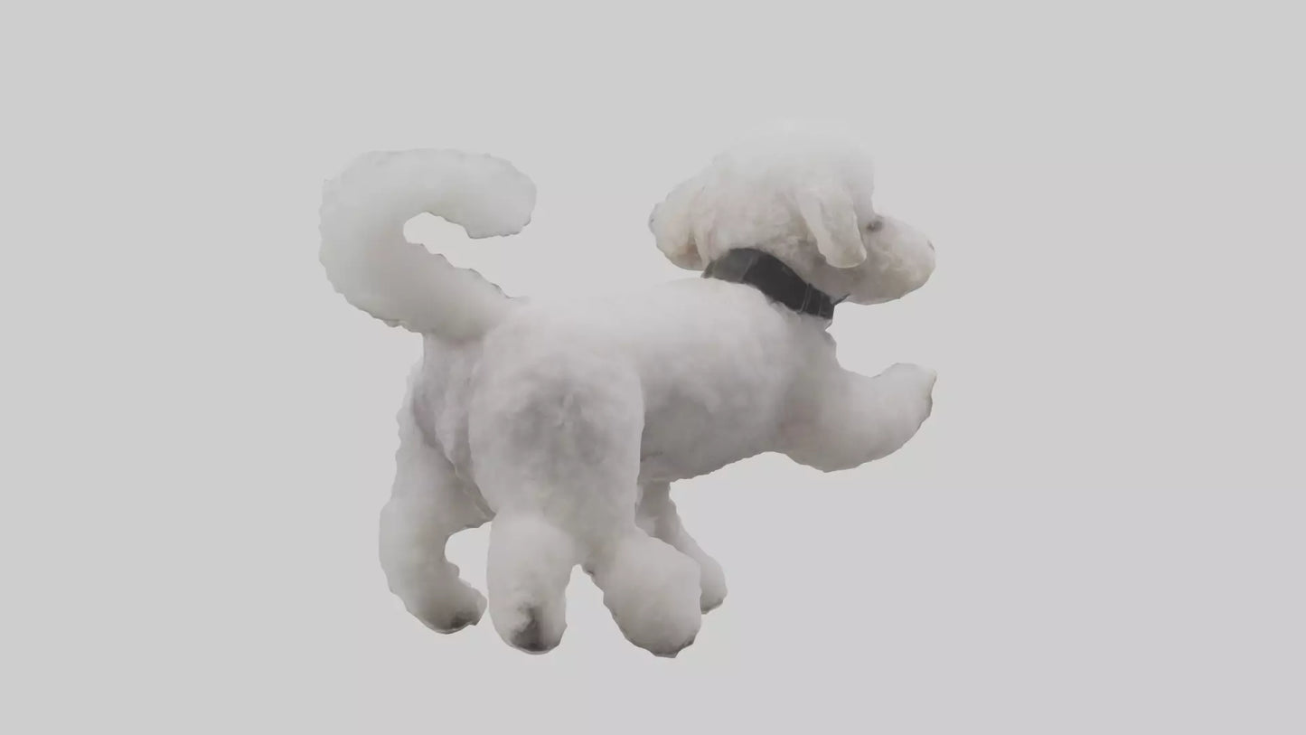 3D model Poodle playing model VR / AR / low-poly