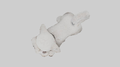 3D model Poodle playing model VR / AR / low-poly