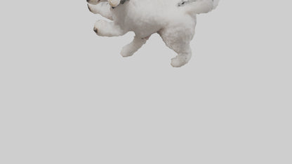 3D model Poodle playing model VR / AR / low-poly