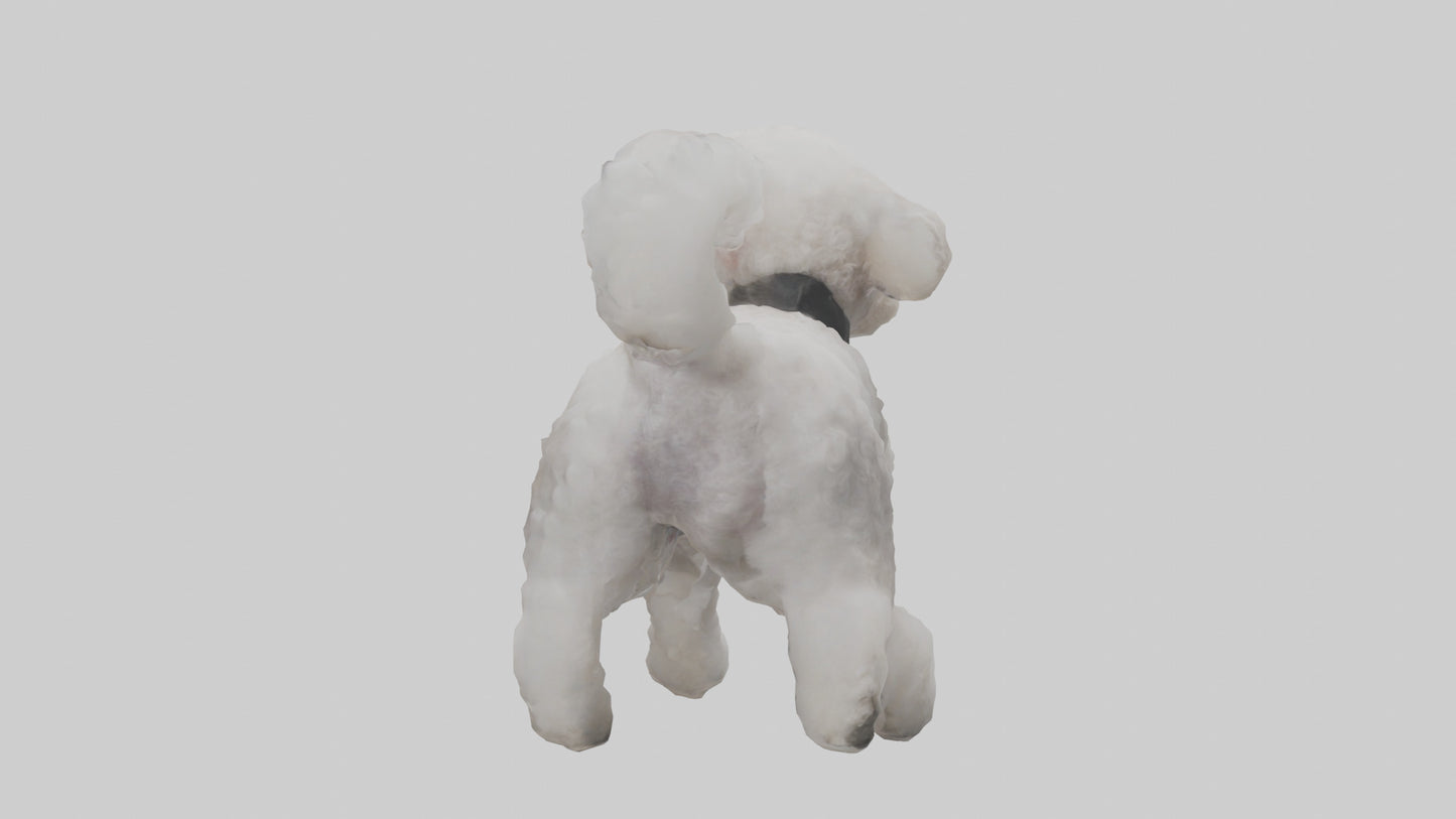 3D model Poodle playing model VR / AR / low-poly