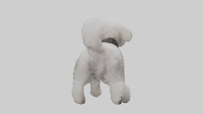 3D model Poodle playing model VR / AR / low-poly