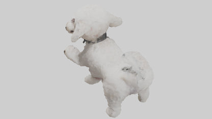 3D model Poodle playing model VR / AR / low-poly