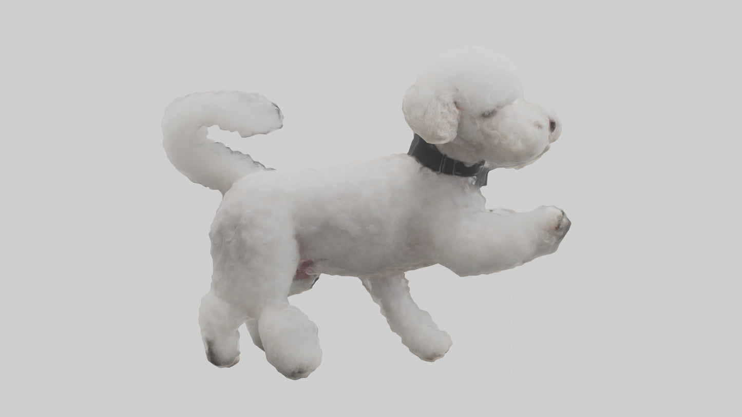 3D model Poodle playing model VR / AR / low-poly