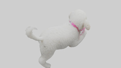 3D model Poodle retrieving toy model VR / AR / low-poly