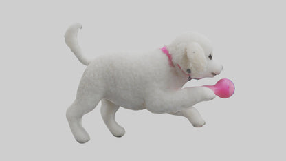 3D model Poodle retrieving toy model VR / AR / low-poly