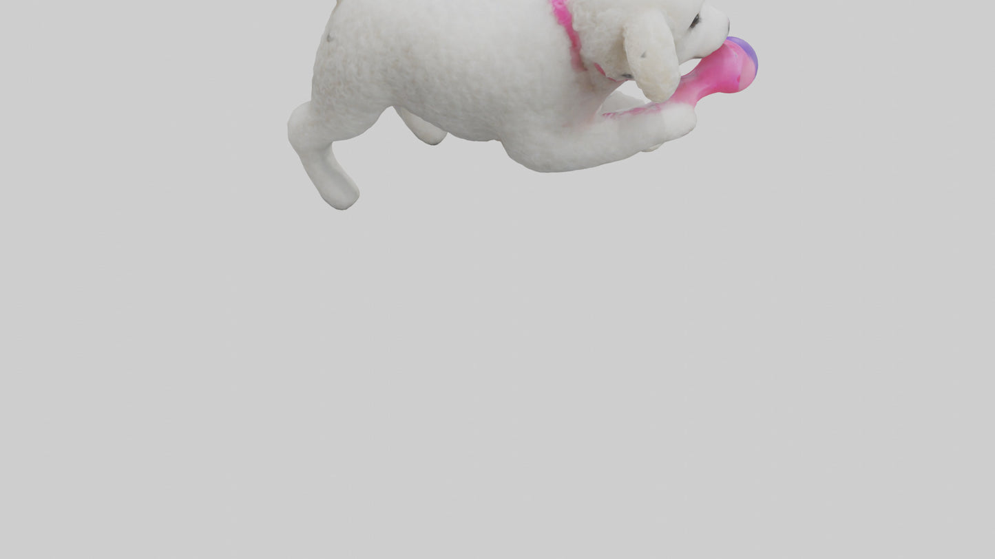 3D model Poodle retrieving toy model VR / AR / low-poly