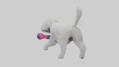 3D model Poodle retrieving toy model VR / AR / low-poly