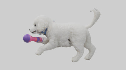 3D model Poodle retrieving toy model VR / AR / low-poly
