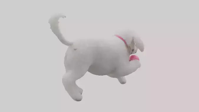 3D model Poodle retrieving toy model VR / AR / low-poly