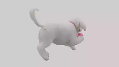 3D model Poodle retrieving toy model VR / AR / low-poly