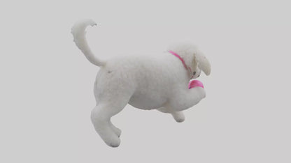 3D model Poodle retrieving toy model VR / AR / low-poly