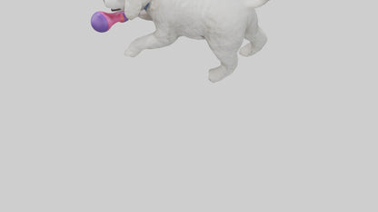 3D model Poodle retrieving toy model VR / AR / low-poly