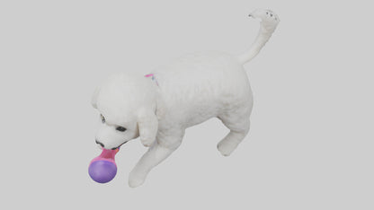 3D model Poodle retrieving toy model VR / AR / low-poly
