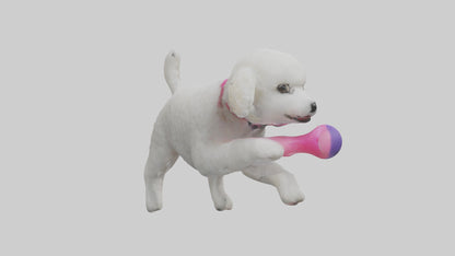3D model Poodle retrieving toy model VR / AR / low-poly