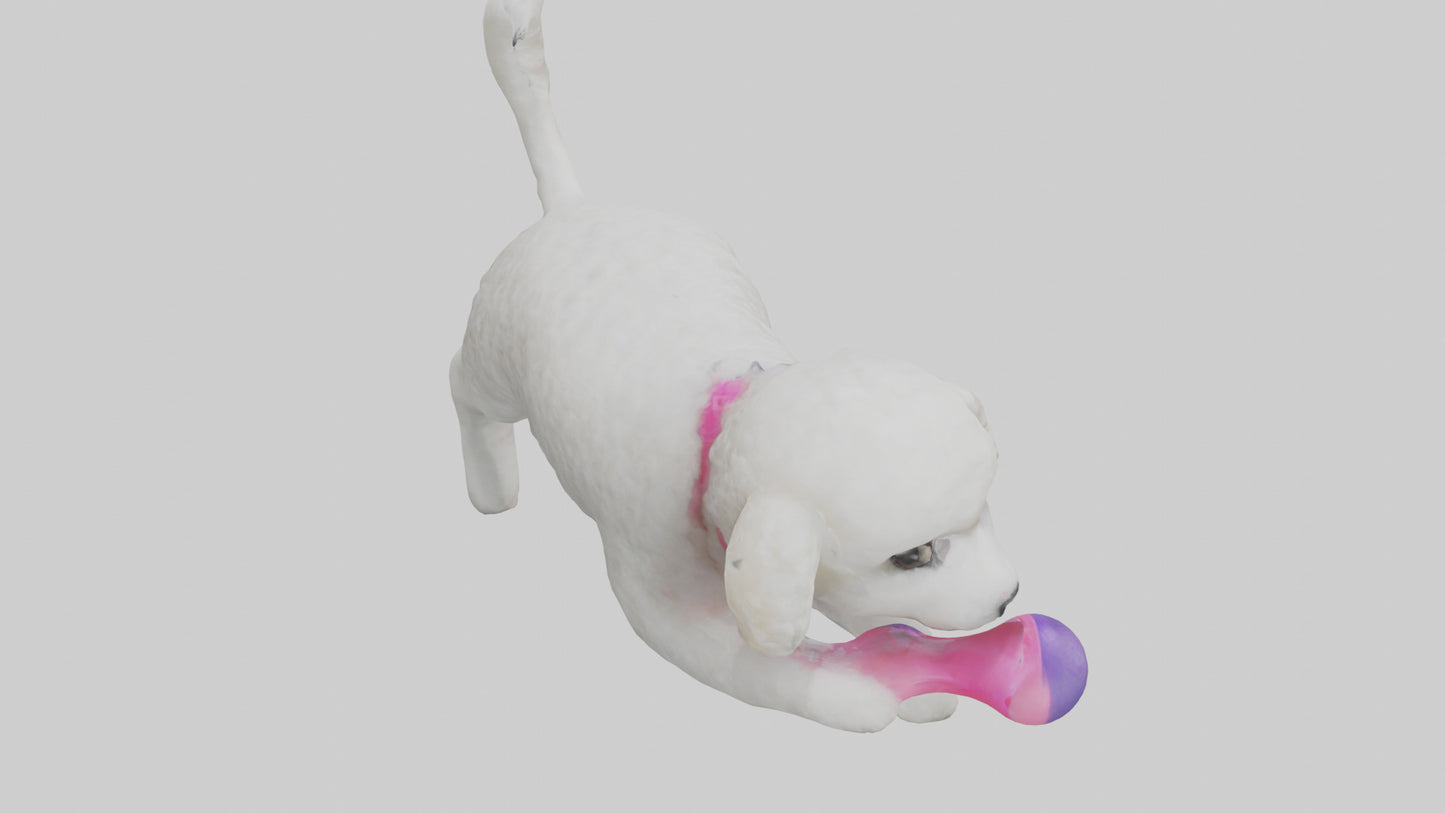 3D model Poodle retrieving toy model VR / AR / low-poly