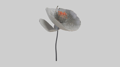 3D model Poppyseed flower model VR / AR / low-poly