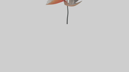 3D model Poppyseed flower model VR / AR / low-poly