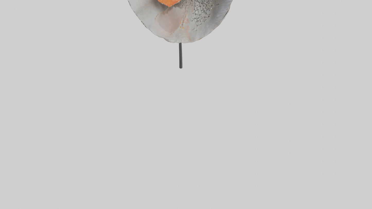 3D model Poppyseed flower model VR / AR / low-poly