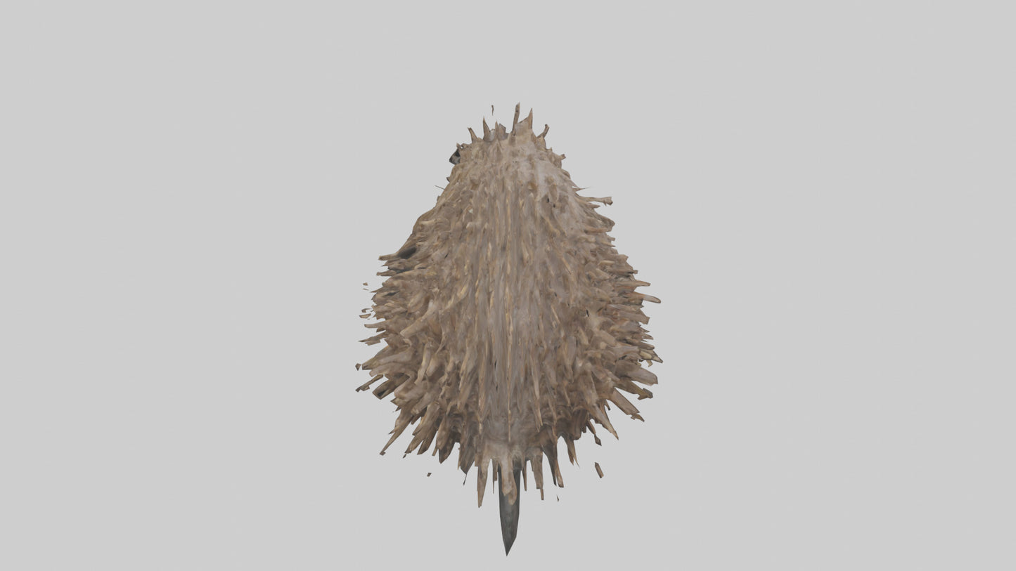 3D model Porcupine defending model VR / AR / low-poly