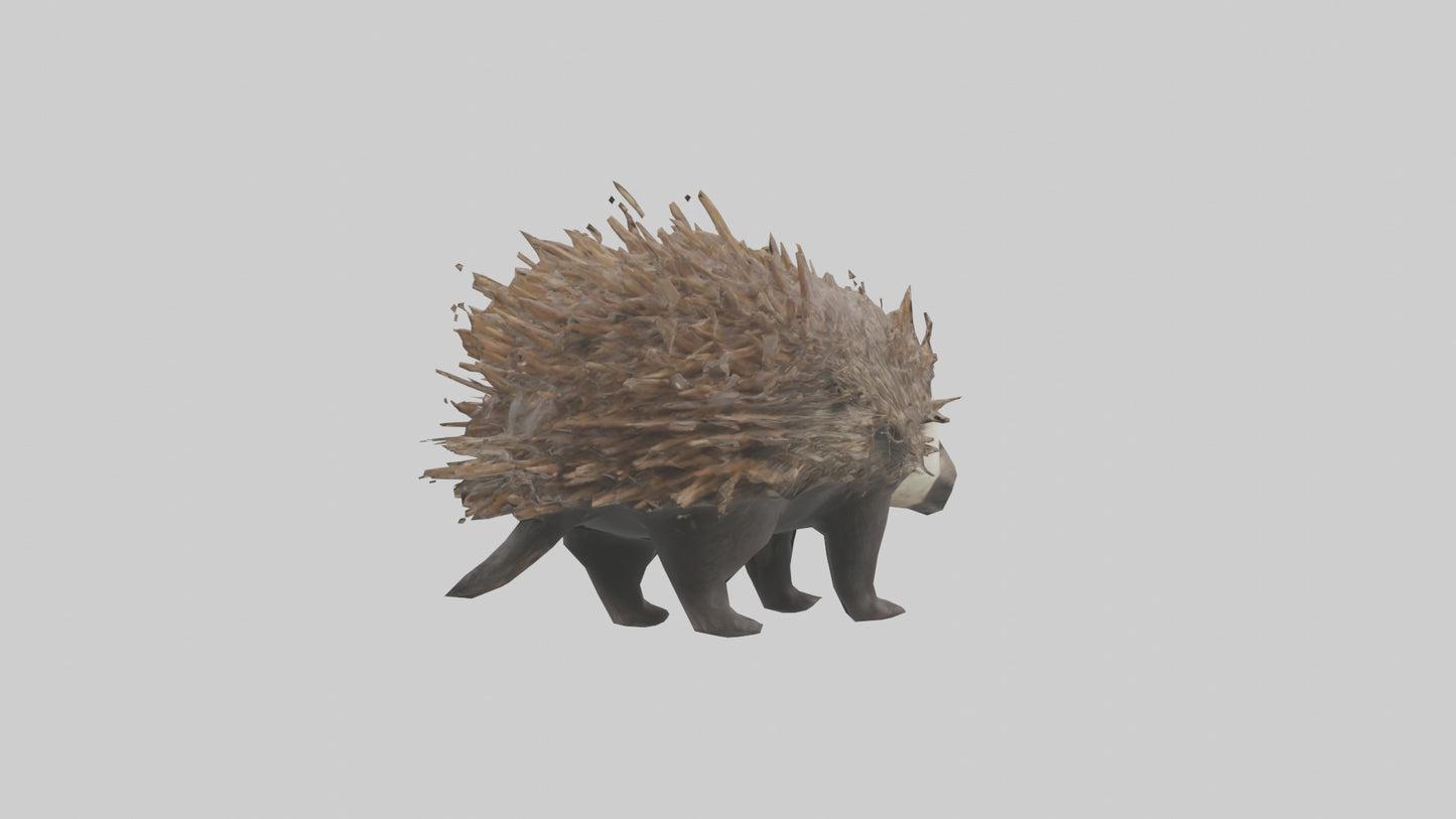 3D model Porcupine defending model VR / AR / low-poly