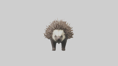 3D model Porcupine defending model VR / AR / low-poly