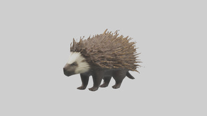 3D model Porcupine defending model VR / AR / low-poly