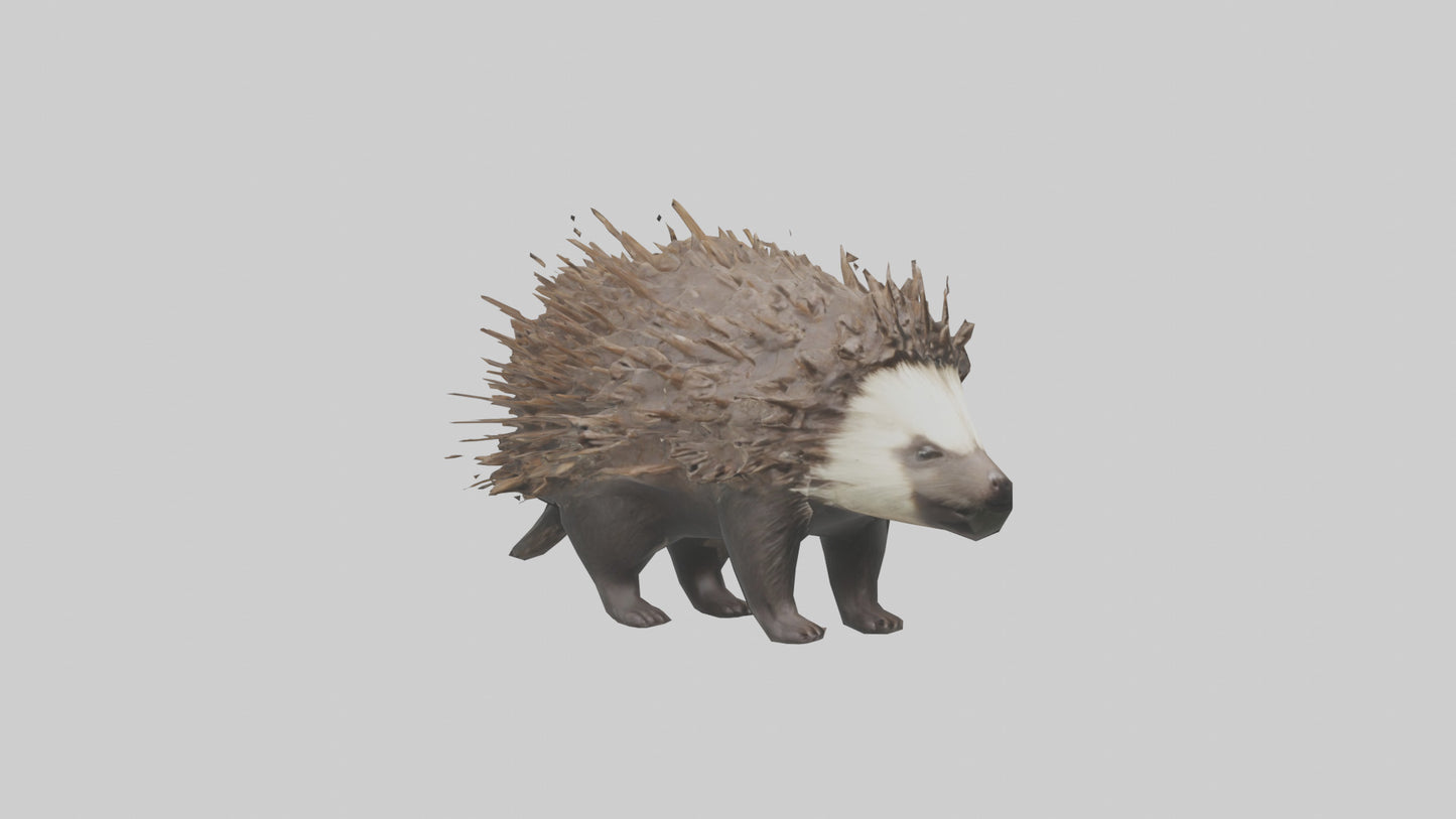 3D model Porcupine defending model VR / AR / low-poly