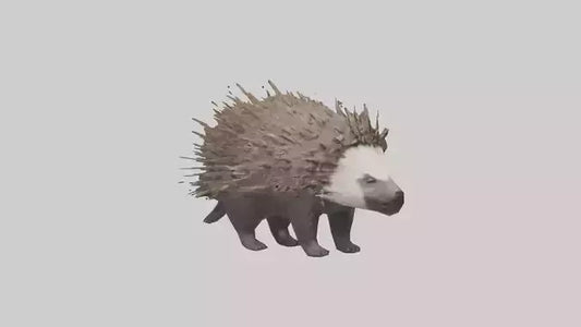 3D model Porcupine defending model VR / AR / low-poly
